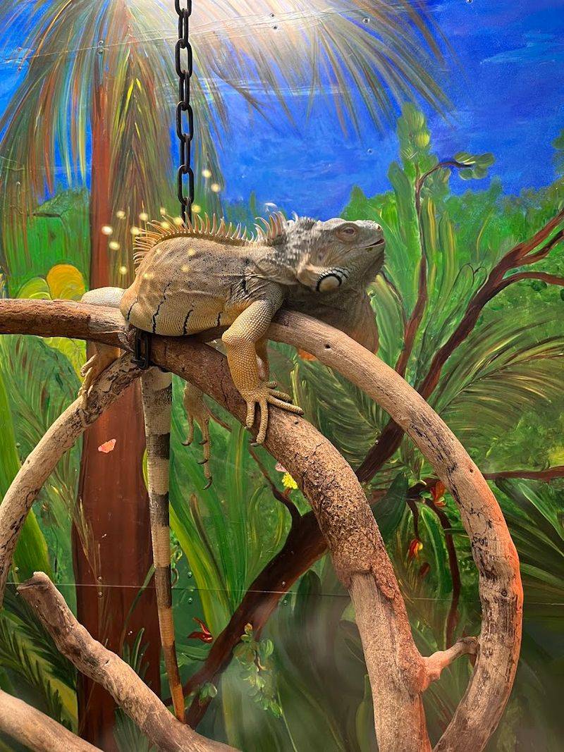 Step Into A Rainforest Atmosphere While Shopping For Vintage Finds