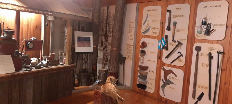 Deep Historical Significance of Georgia Forestry