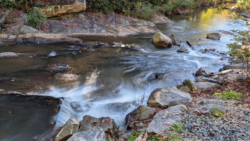 Dogs Are Welcome on the Trail