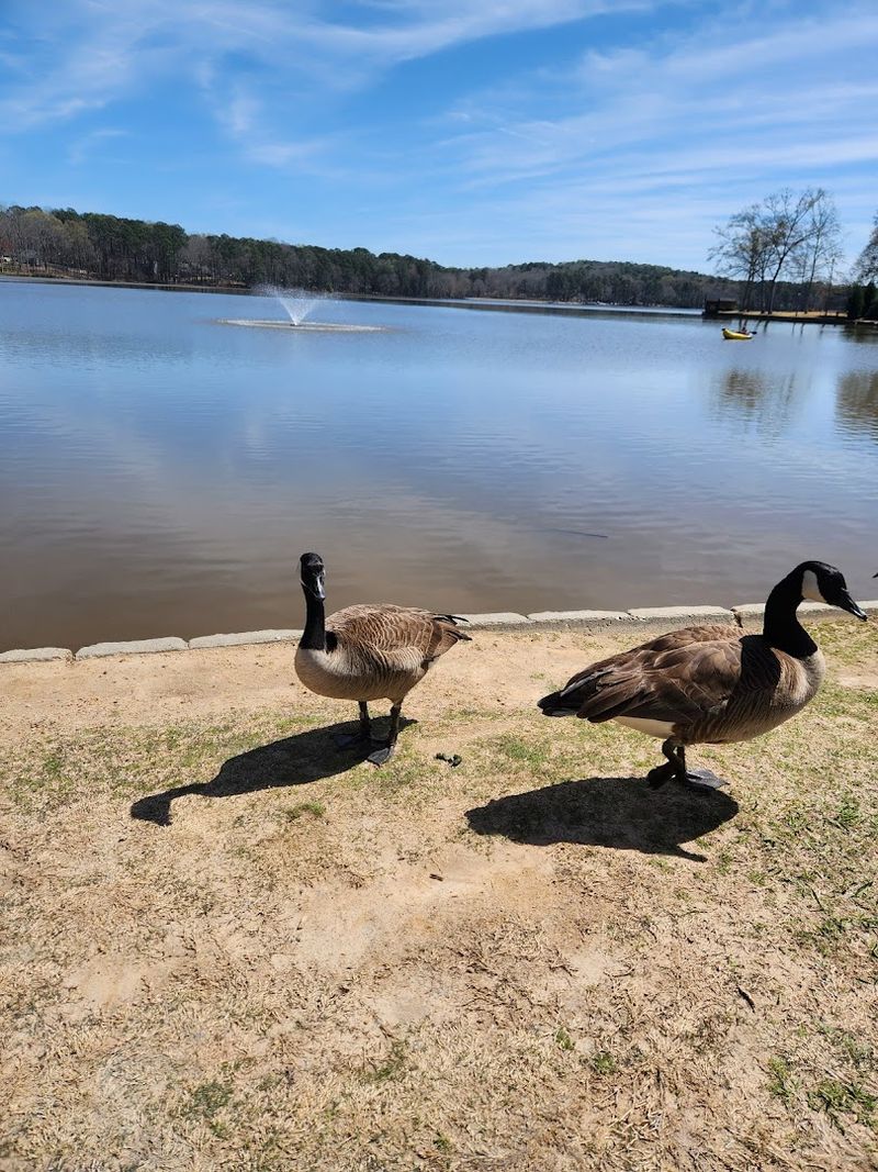 Lake Peachtree and Waterfront Relaxation