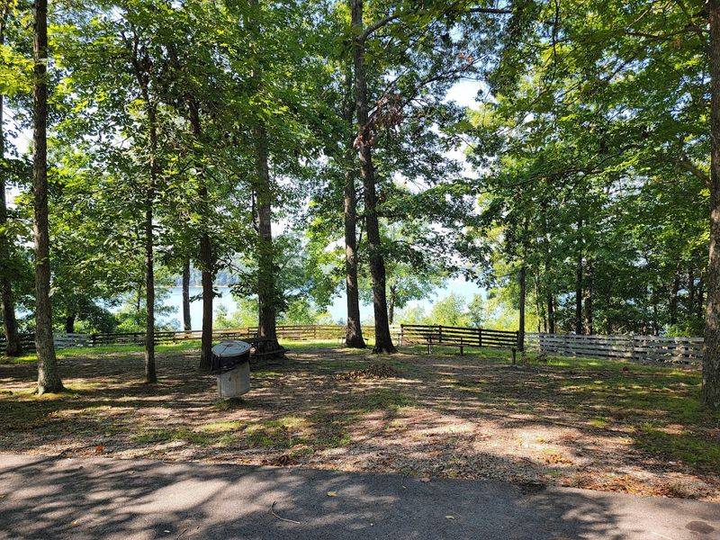 Plenty Of Picnic Potential