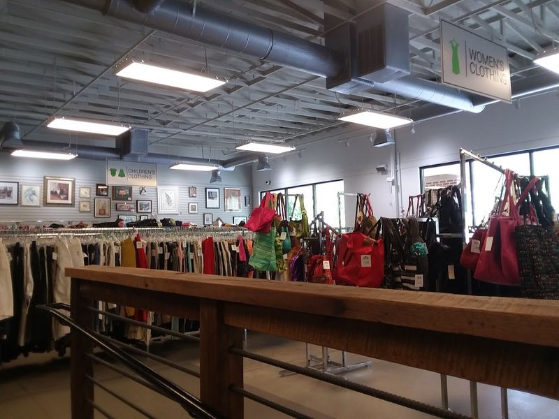 Glowing Reviews That Speak for Themselves