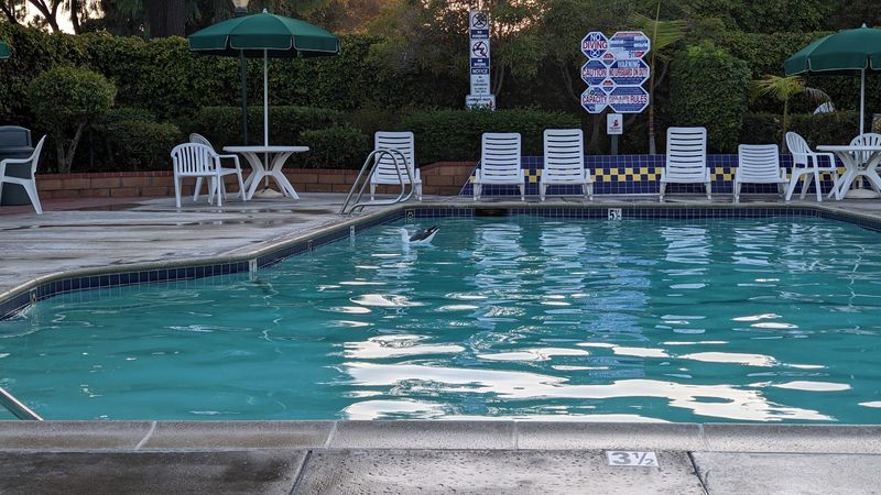 Two Pools And Two Spas