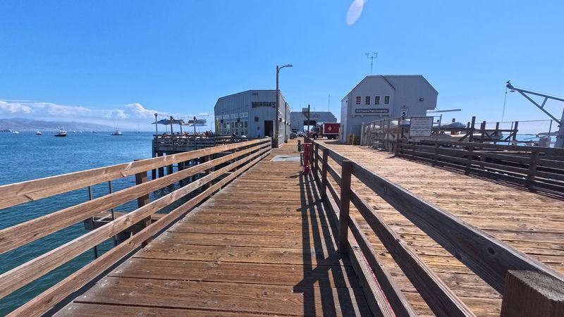 The Harford Pier And Its Whale-Watching Appeal