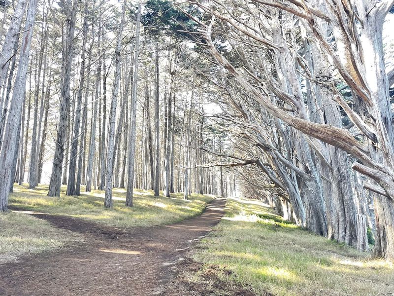 The Trail Is Only Half A Mile Long But Packs In A Lot