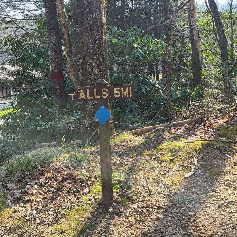 Looking For The Destination