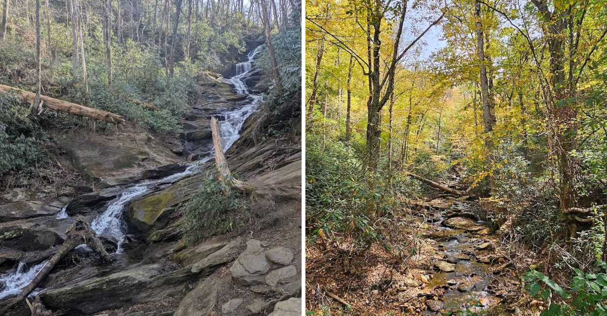 A North Carolina Waterfall Trail Journey That Anyone Can Enjoy - Decor Hint