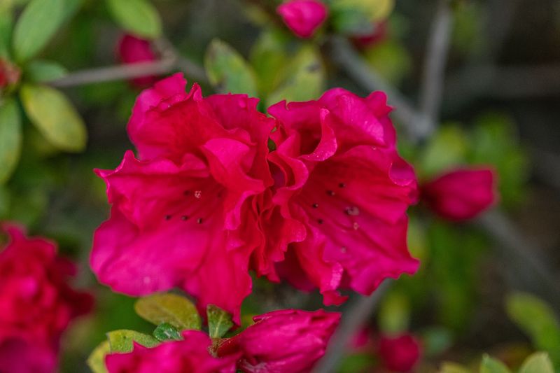 The Garden Tours That Make You Want To Move Here Immediately