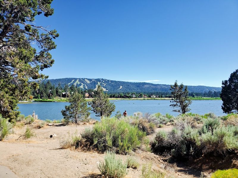 The Lake Views Are The Real Star Of The Show