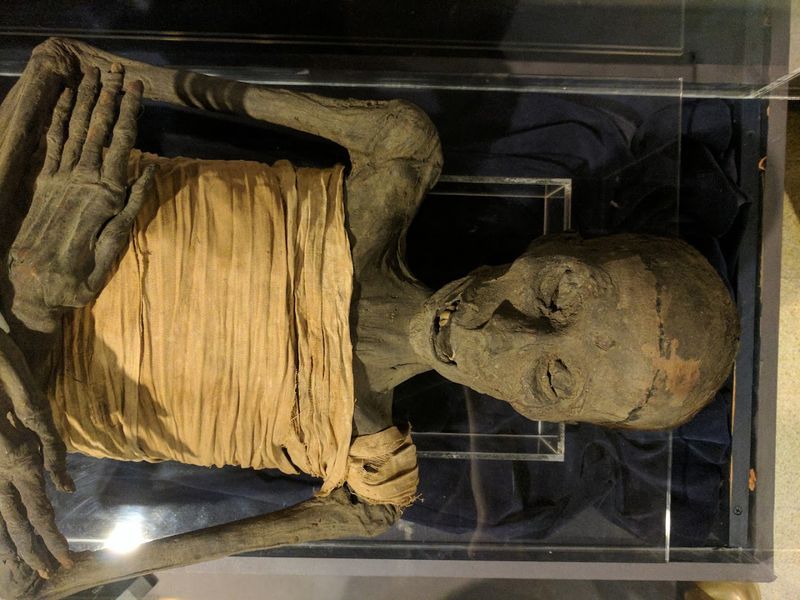 This California Museum Houses The West Coast's Largest Collection Of Egyptian Artifacts - Decor Hint The Mummy Of Usermontu From The 26th Dynasty