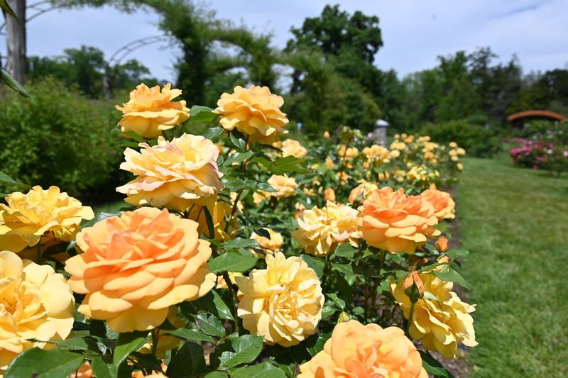 This Enchanting Botanical Garden In Connecticut Is One Of The State's Best Kept Secrets - Decor Hint Picture-Perfect Corners You Will Want To Remember