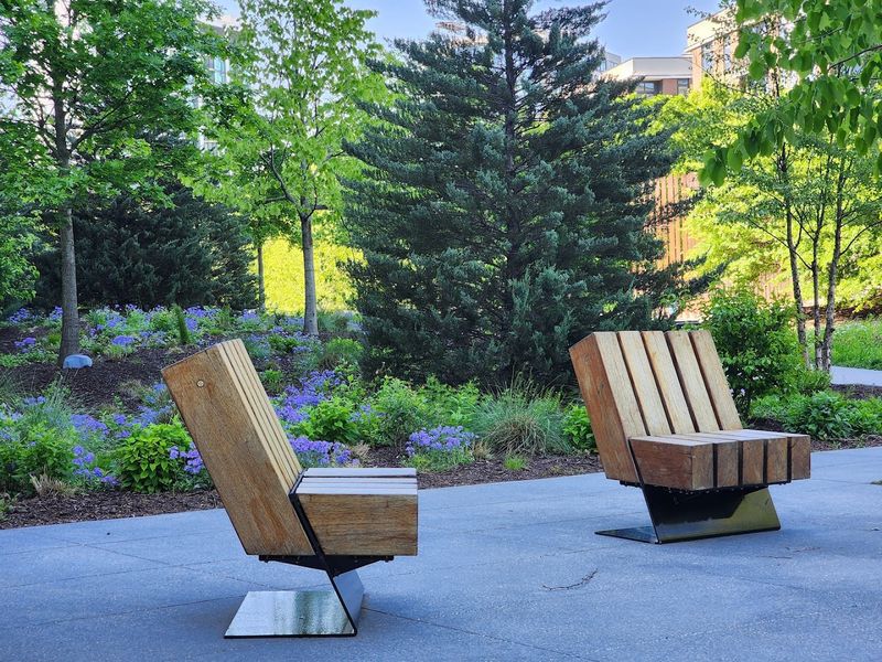 Accessibility That Welcomes Everyone