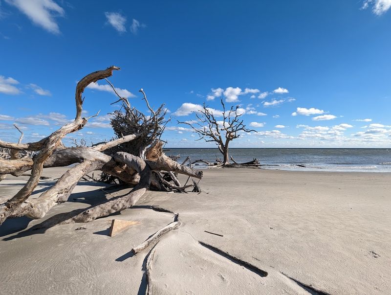 Free Parking That Actually Exists