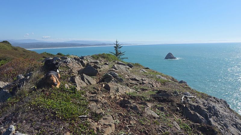 Trinidad Head and the Drama It Adds to the Skyline