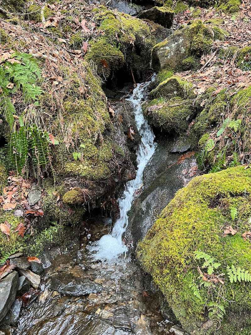 Why Hidden Valley Preserve Is A Nature Lover's Paradise