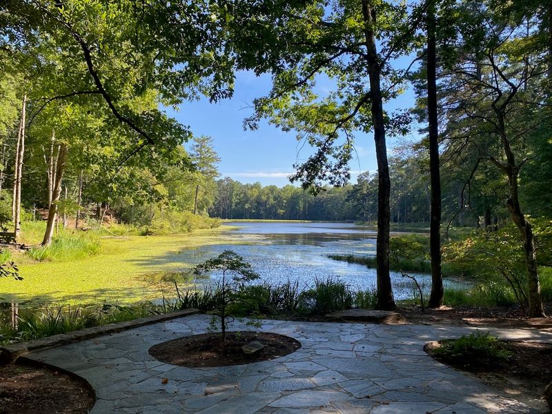 Peaceful Lakeside Setting on Falls Creek Lake