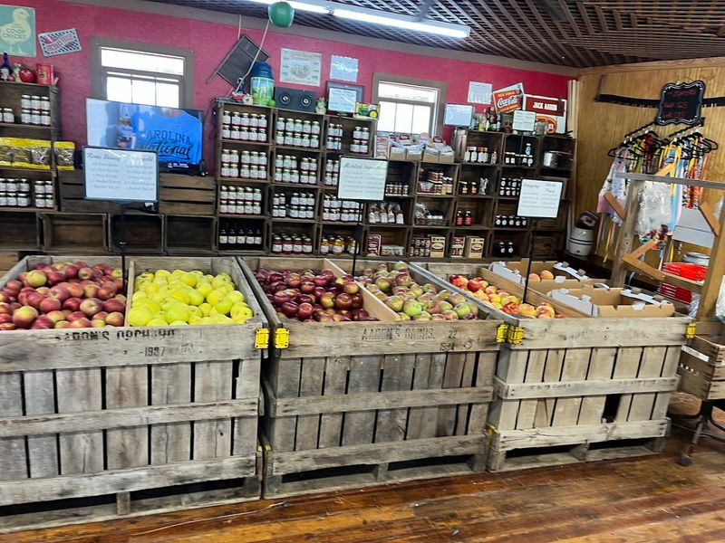 Seasonal Photos Almost Take Themselves