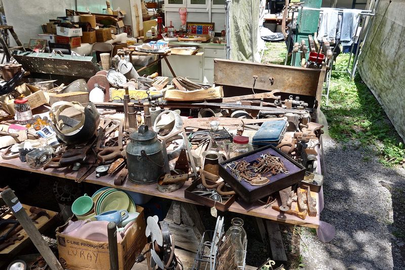 Unexpected Finds Around Every Corner