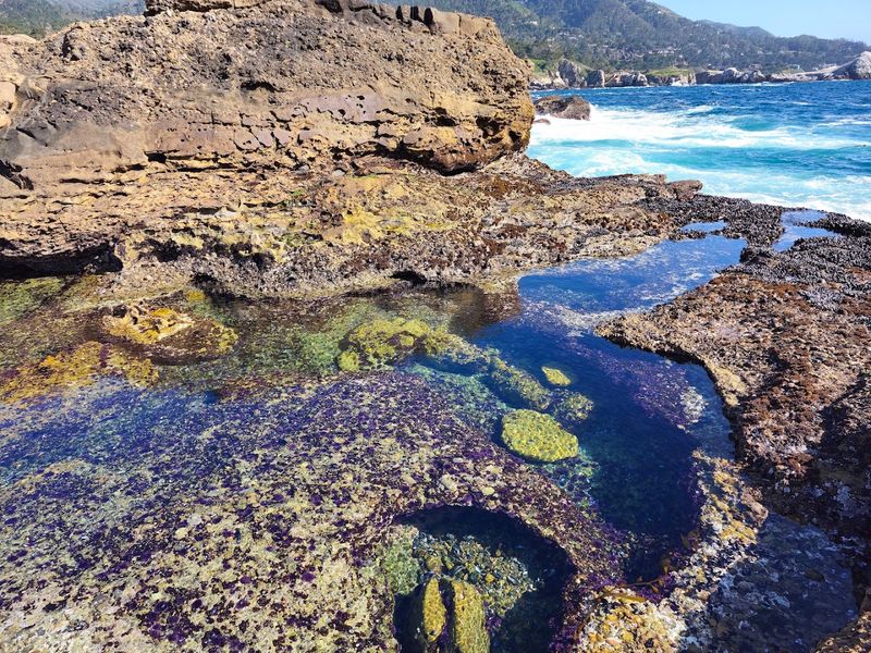 Marine Protected Areas That Shelter A Thriving Ecosystem