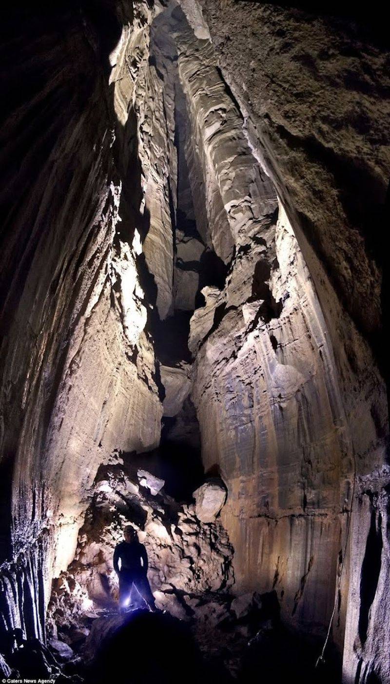 Conservation Efforts That Every Visitor Supports