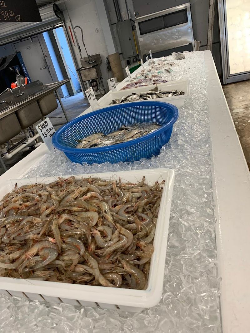 The Bait Quality