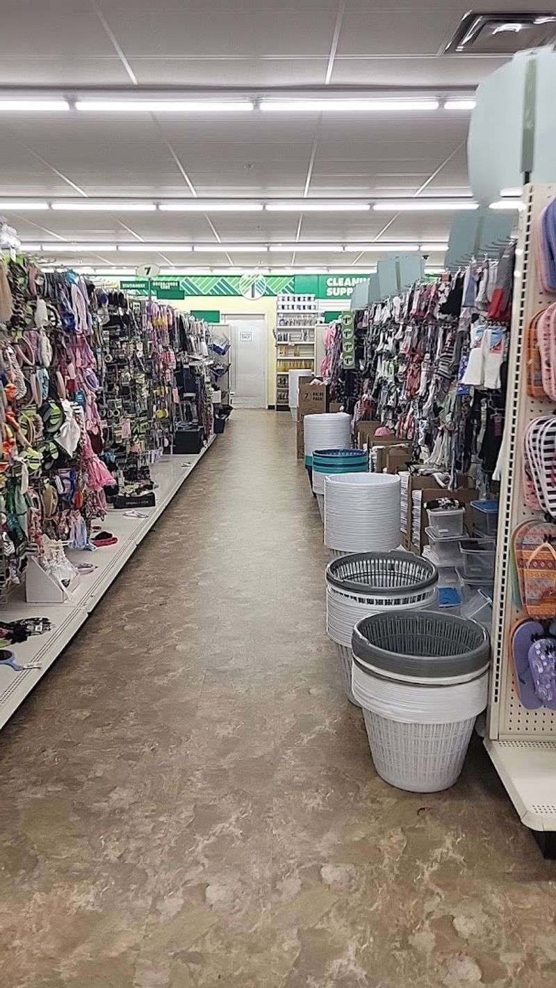 Unique Finds And Hidden Gems Inside Dollar Tree