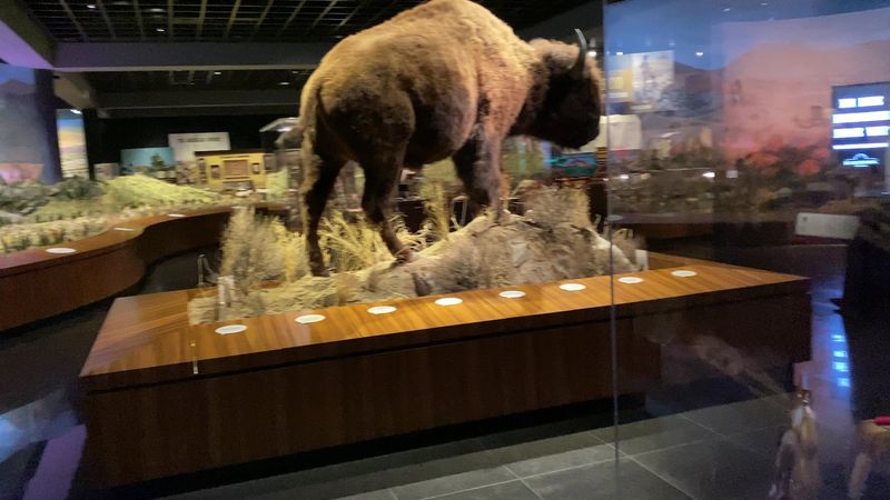 The Jaw-Dropping Automobile Museum In California You've Probably Never Heard Of - Decor Hint The Spirit Of The Old West Exhibit Brings American History To Life