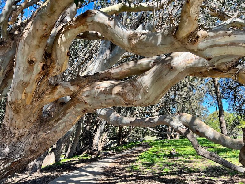 Sixty-Five Acres of Park That Go Well Beyond the Famous Rock