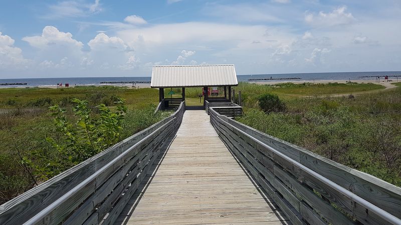 Spring Birding That Turns The Coast Into A Show