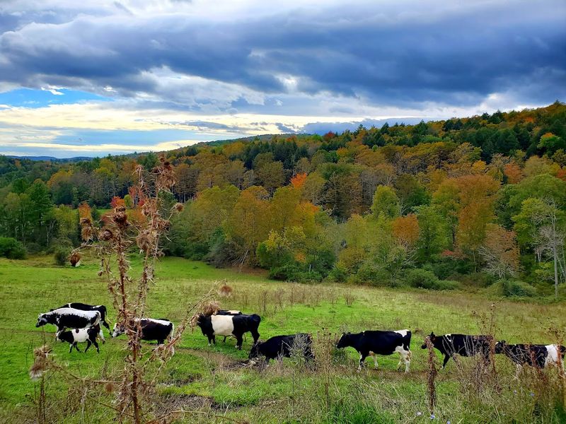 The Side Of The Farm You Don’t Expect