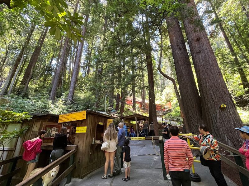 California's Strangest Beach Town Is Actually The Most Charming Place Ever - Decor Hint The Mystery Spot Adds a Genuinely Weird Chapter to the City's Story