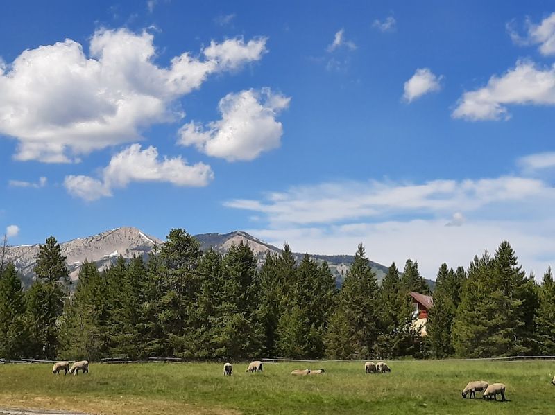 A Road Trip Stop That Earns A Return Visit