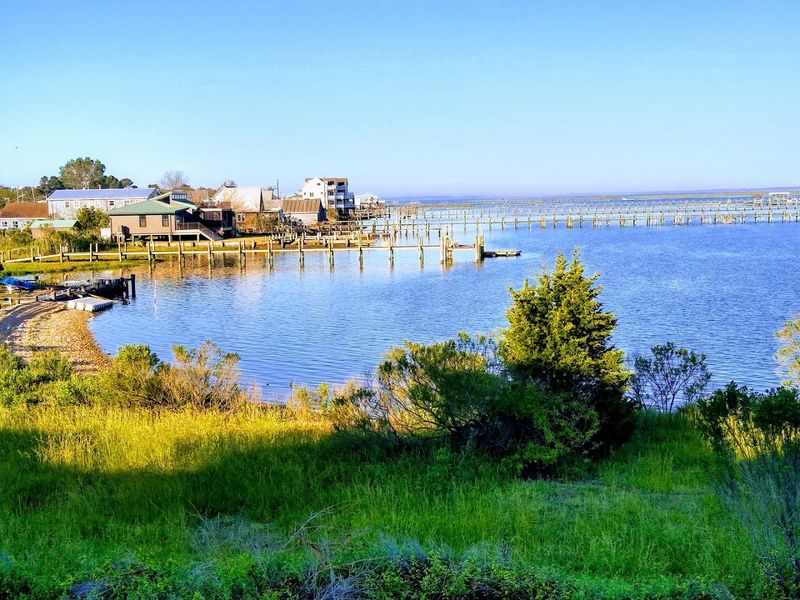 Oyster Beds Passed Down Through Generations