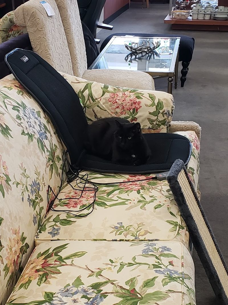 High-Quality Donations From a Devoted Supporter Base