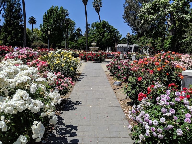 Most People Don't Know About This Stunning 40-Acre Rose Garden In California - Decor Hint Over 650 Roses And 153 Varieties Fill The Space With Color