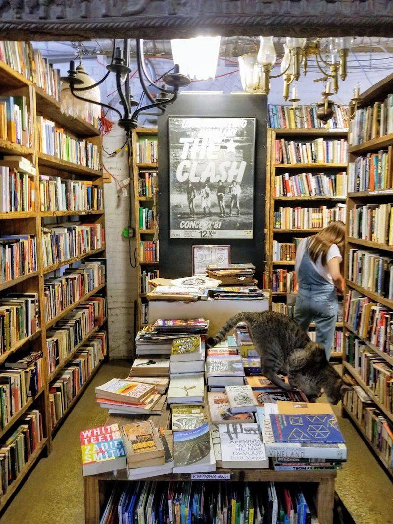 Books And Vinyl Records Worth Digging Through