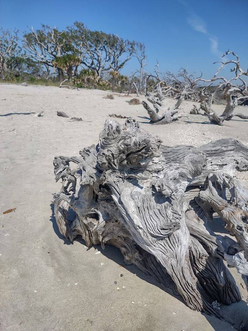 Easy Access to Jekyll Island Historic District