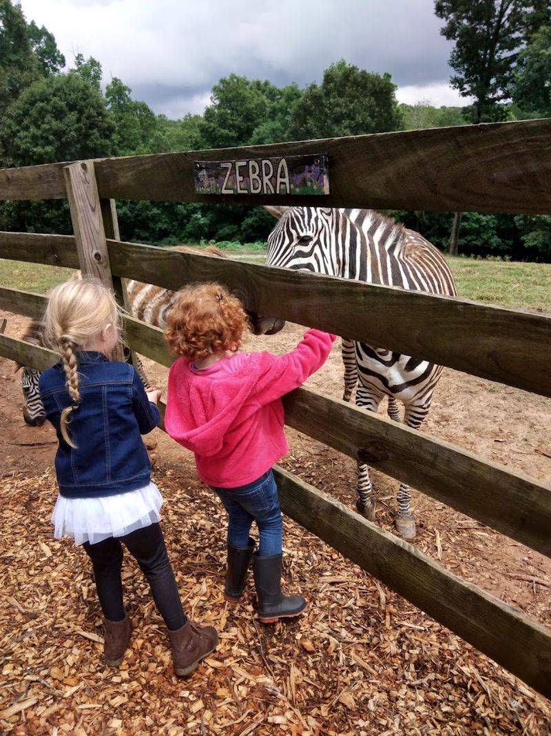 The experience feels approachable, not overwhelming