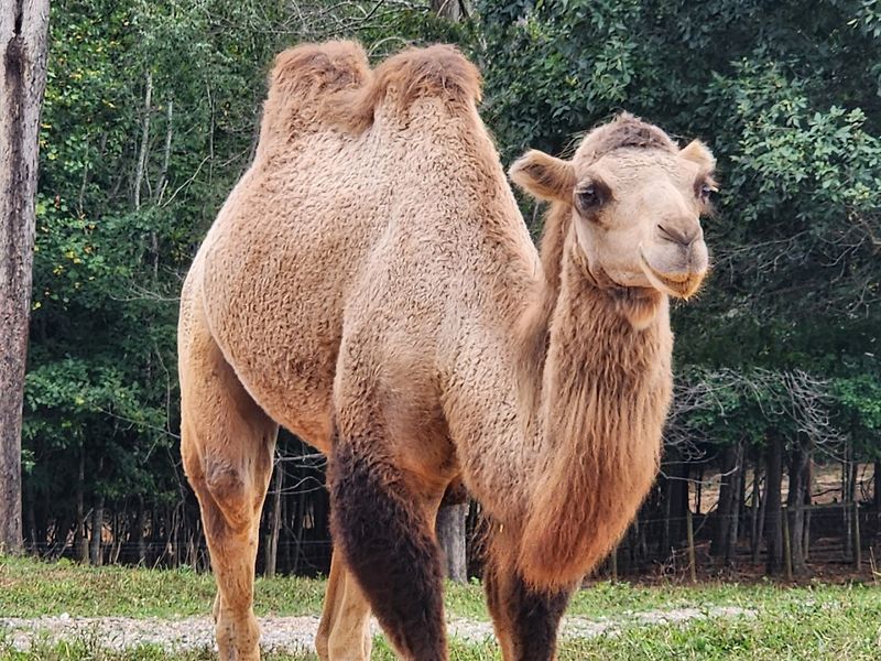 The mountain setting adds to the mood