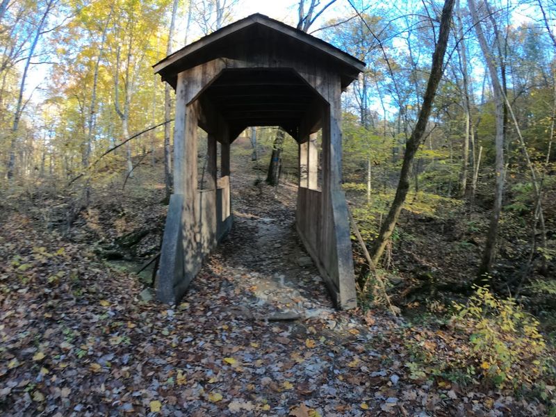 Trail Running