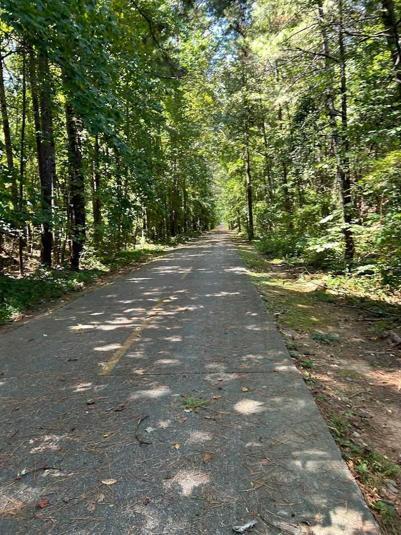 Safety Features That Build Confidence