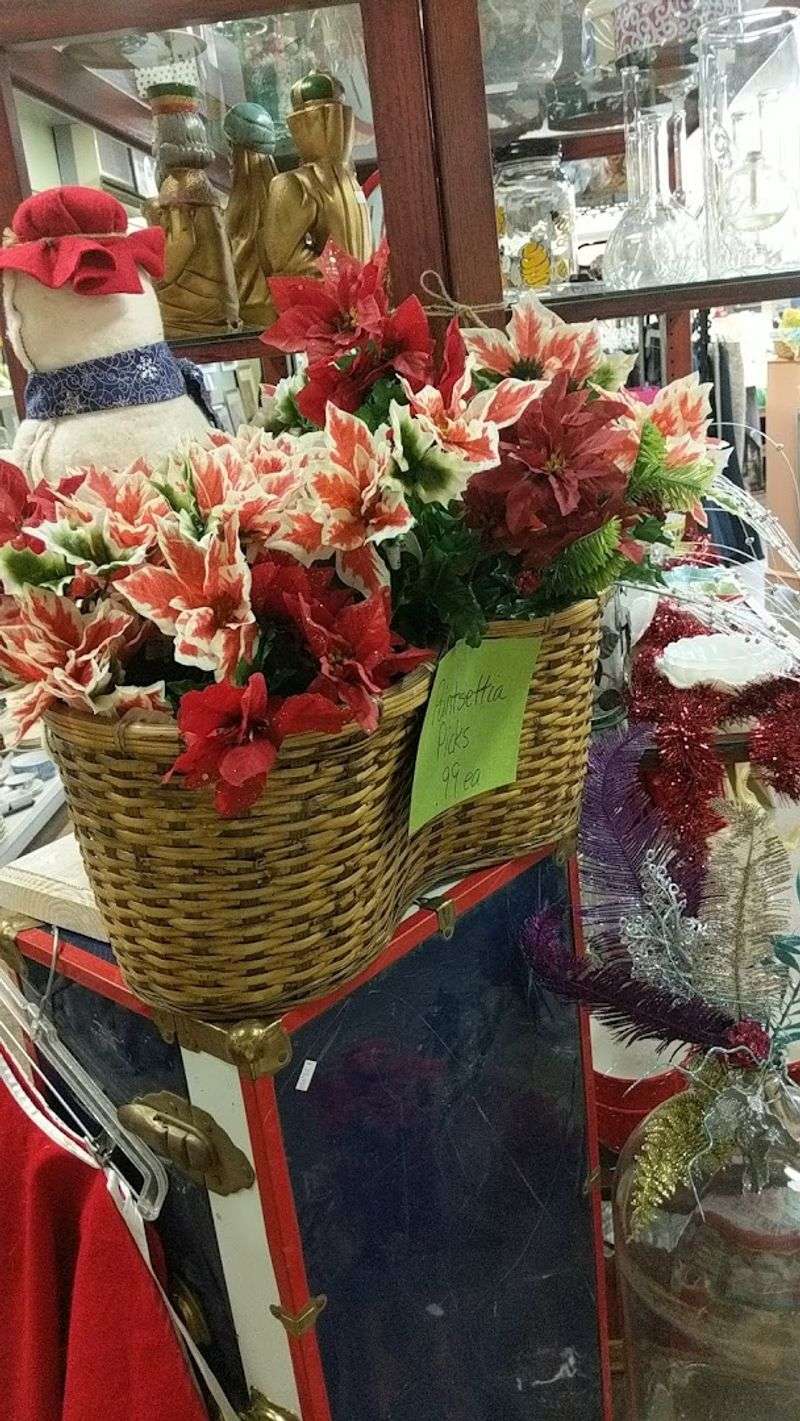 The Ark Thrift Store, San Luis Obispo