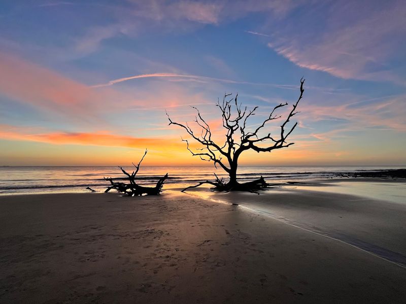 First Impressions at the Shoreline