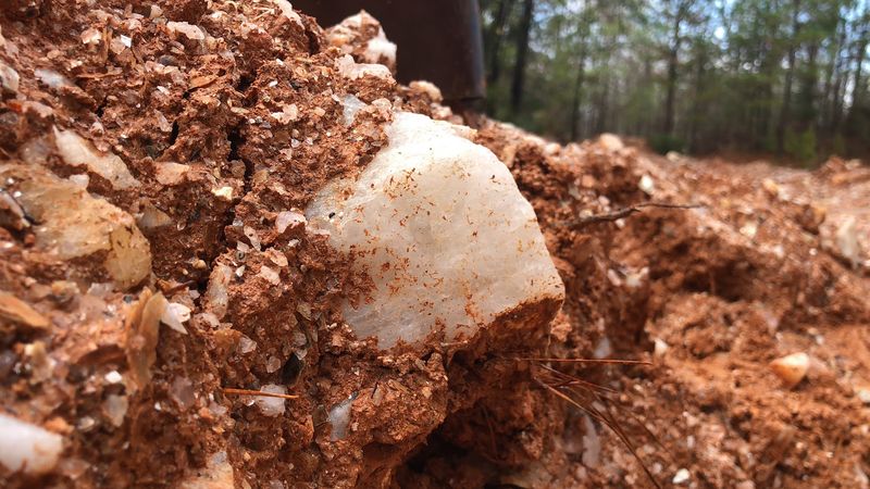 Regular Saturday Public Digs