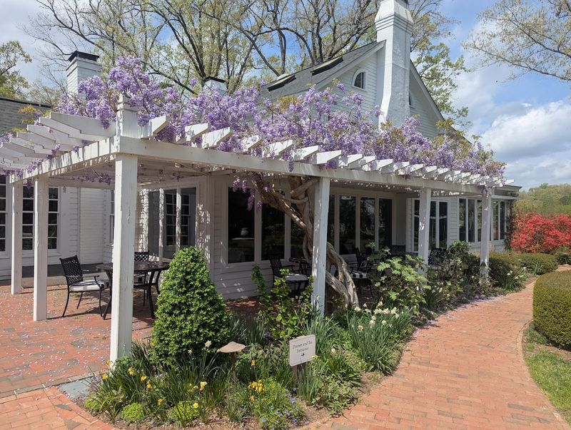 A North Carolina Restaurant Where Southern Classics Are Elevated To Masterpieces - Decor Hint Must-Try North Carolina Restaurant