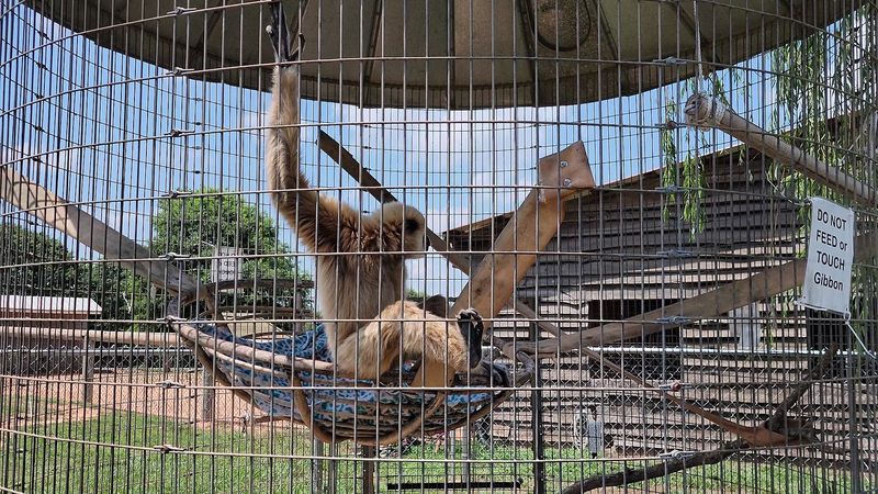 Zootastic Park