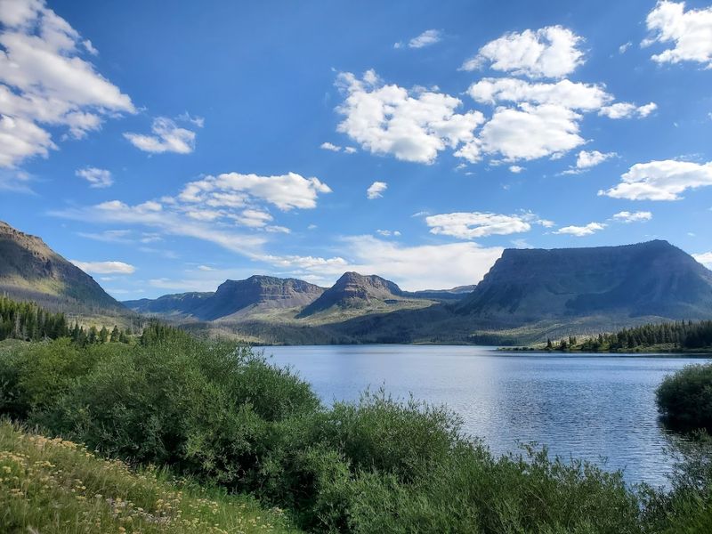 Flat Tops Trail Scenic Byway