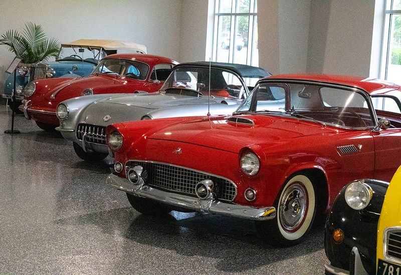 Century Of Cars