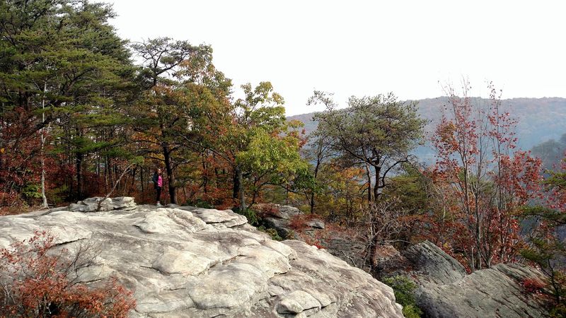 Cloudland Canyon Rim Trail