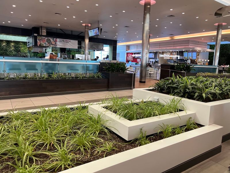 Family-Friendly Amenities